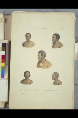 [Portraits of a Tongan and four Papuans] / de Sainson pinx; A. Maurin lith