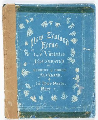 New Zealand Ferns. 148 Varieties . . . in two parts: part 2