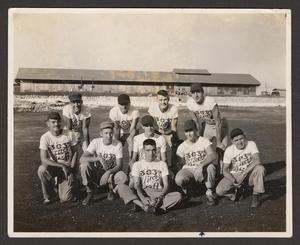[303rd Air Service Officers Softball Team, #3]