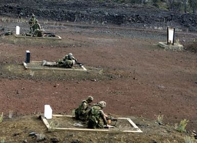 US Marines from 2nd Battalion, 3rd Marines, Weapons Company, shoot M249 Squad Automatic Weapons (SAW) during a training exercise at Pohakuloa Training Area on the Big Island of Hawaii
