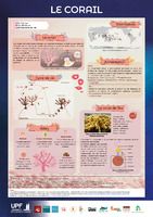 Le corail (poster)