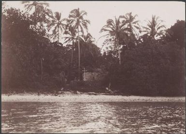 Patteson Memorial Cross on Nukapu, Reef Islands, 1906 / J.W. Beattie
