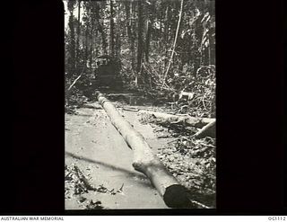 AITAPE, NORTH EAST NEW GUINEA. C. 1944-06. A LOG BEING HAULED BE A BULLDOZER FROM THE MUD AND SLUSH OF THE NEW GUINEA JUNGLE WHERE NO. 7 MOBILE WORKS UNIT RAAF IS BUILDING A BRIDGE