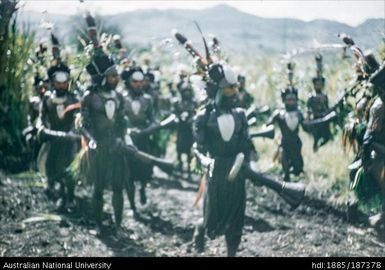 Arrival of Was dancers