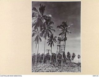 CAPE ENDAIADERE, BUNA-GONA AREA, NEW GUINEA. 1945-10-14. THE OBSERVATION POST TOWER ON THE BEACH AT THE EXTREME TIP OF THE CAPE, THREE YEARS AFTER THE TIDE OF WAR HAD PASSED THE BUNA-GONA AREA. ..