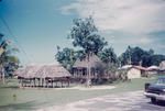 Local houses in Samoa