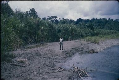 Screw River (anopheline mosquito stream-breeding) (5) : Maprik, Papua New Guinea,1959 / Terence and Margaret Spencer