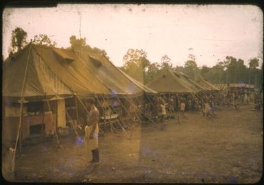Emergency hospital at Popondetta, Papua New Guinea, 1951 / Albert Speer