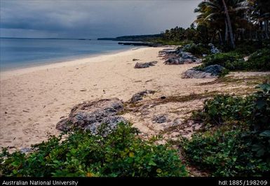 New Caledonia - Lifou Island - beach