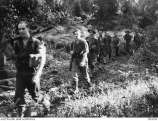 A patrol from 2/8 Commando Squadron moving through the clearing of an old village. Their object is to harass the enemy and gain information ahead of the advancing infantry these patrols travel ..
