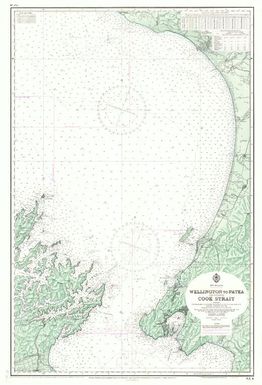 [New Zealand hydrographic charts]: New Zealand. Wellington to Patea including Cook Strait. (Sheet 46)