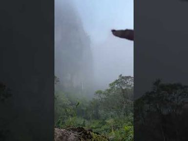 Yadra Vinaka mai Gasaudrau Farm Namosi Fiji 🇫🇯- kabukabu tu na vanua Totoka Dina ❤️🙏🇫🇯