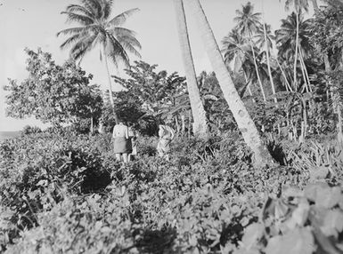 [Three Pacific island women on the far shoreline]