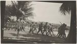 Soldiers of the Australian Naval and Military Expeditionary Force training on Palm Island, Queensland, 1914