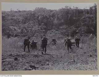 WEWAK POINT, NEW GUINEA. 1945-05-10. TROOPS OF 2/4 INFANTRY BATTALION MOVING IN TO CLEAR THE SNIPERS WHO REMAINED AFTER MATILDA TANKS OF 2/4 ARMOURED REGIMENT HAD POUNDED THE AREA MERCILESSLY