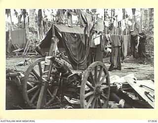 ALEXISHAFEN, NEW GUINEA. 1944-04-30. WASHED CLOTHES HANG ON A LINE AT AN AUSTRALIAN PROVOST PLATOON CAMP SITUATED NEAR AN ABANDONED JAPANESE DUMP. A JAPANESE MOUNTAIN GUN STANDS IDLE AT THE ..