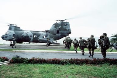 A squad of Marines moves to board a Marine Medium Helicopter Squadron 261 (HMM-261) CH-46E Sea Knight helicopter on the grounds of the United States Embassy. Marines of the 22nd Marine Expeditionary Unit (22nd MEU), deployed aboard the amphibious assault ship USS SAIPAN (LHA 2), were sent to augment security at the embassy as part of Operation SHARP EDGE