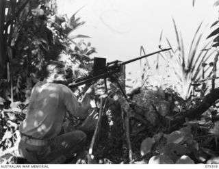 NAGADA, NEW GUINEA. 1944-08-16. VX72103 GUNNER D.N. BENTLEY, E TROOP, 22ND BATTERY, 106TH TANK ATTACK REGIMENT, USING A BOYES 5" TANK ATTACK RIFLE TO SHOOT CROCODILES IN A SWAMP NEAR THE UNIT CAMP