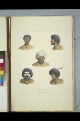 [Portraits of Fijians, and Papuans from New Ireland / de Sainson pinxt; A. Maurin lith