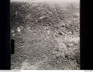 Muschu Island, New Guinea, 1945-06-12. Aerial view, taken at an altitude of 4,000 feet from a United States Army Air Force (USAAF) Consolidated B-24 Liberator, showing a plantation of, mainly, ..