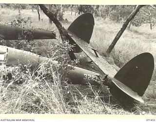 PIONEER CROSSING, PORT MORESBY AREA, PAPUA, 1944-03-25. THE TAIL FINS OF A P-38 LIGHTNING FIGHTER AIRCRAFT OF THE UNITED STATES ARMY AIR FORCE WHICH CRASHED IN TIMBERED AREA WITHIN THE VICINITY OF ..