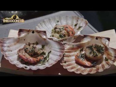 Catching Scallop - Coco Cooking