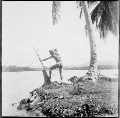 Ramu man aiming bow and arrow into a river with a foot braced against a tree stump, Ramu River [?], New Guinea, 1935, 2 / Sarah Chinnery