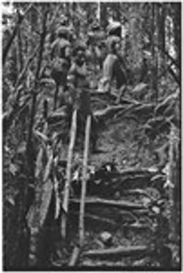 Pig festival, stake-planting, Tuguma: men at boundary gate marked with painted stakes