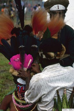 ["huvudbonad, fotografi, photograph"]