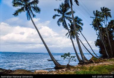 Tahiti - Little Tahiti