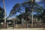 [House]