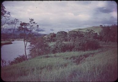 View of the Wahgi River below Minj Station : Waghi Valley, Papua New Guinea, 1954 / Terence and Margaret Spencer