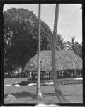 Samoan house