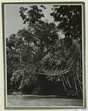 ["fotografi, photograph"]