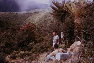 [Landscape of hills and mountains from Sarawaket Range, Papua New Guinea]
