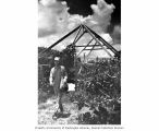 Expedition team member Kelshaw Bonham in front of a deserted tent frame on Parry Island, August 9, 1964