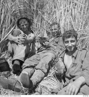 NEW GUINEA. GONA. THESE AUSTRALIANS HAVE JUST COME 100 YARDS BACK FROM THE FRONT LINE FOR FOOD DURING A LULL IN THE FIGHTING. THEY ARE PART OF A COMPANY WHICH HAS BEEN TWO DAYS AND NIGHTS WITHIN ..