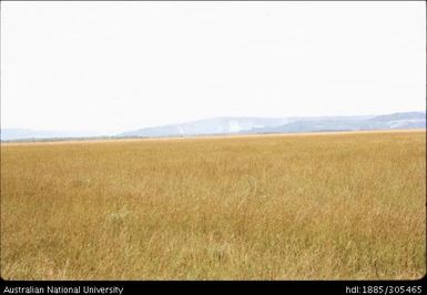 Markham Plains