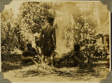 Preparing a pig for a Samoan feast, 1928