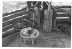 Man preparing kava by pounding.