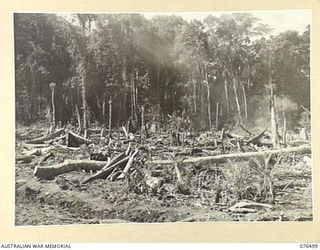 LAE, NEW GUINEA. 1944-10-18. JUNGLE AND UNDERBRUSH BEING CLEARED AND BURNT AROUND THE LAE NATIVE LABOUR COMPOUND, AUSTRALIAN NEW GUINEA ADMINISTRATIVE UNIT