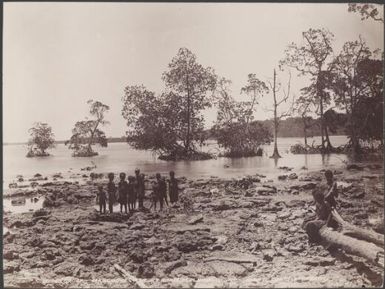 Children on the shore of Port Adam, mangroves in background, Malaita, Solomon Islands, 1906 / J.W. Beattie