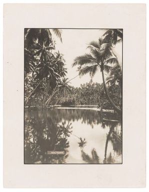 Solitude.  From the album: Banaba (Ocean Island)
