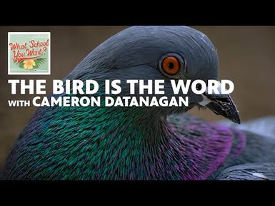 The Bird is the Word (with Cameron Datanagan) | WHAT SCHOOL YOU WENT?