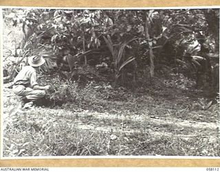 FINSCHHAFEN, NEW GUINEA, 1943-10-02. MEMBERS OF 9TH AUSTRALIAN DIVISION INSPECTING A WELL CAMOUFLAGED JAPANESE PILLBOX IN THE JUNGLE