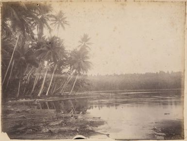 Lagoon, 1886