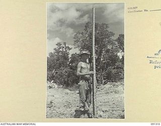 BOUGAINVILLE. 1945-04-28. CORPORAL R.J. ADAMS, 53 FIELD PARK COMPANY, ROYAL AUSTRALIAN ENGINEERS, HOLDS A STAFF FOR SURVEYOR USING DUMPY LEVEL DURING THE CONSTRUCTION OF AN AIRSTRIP FOR RAAF AUSTER ..