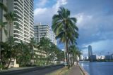 Honolulu, buildings and palms along Ala Wai Boulevard