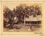 Photograph: Samoan Village, Apia