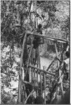 Bridge-building: overhead view of bridge deck